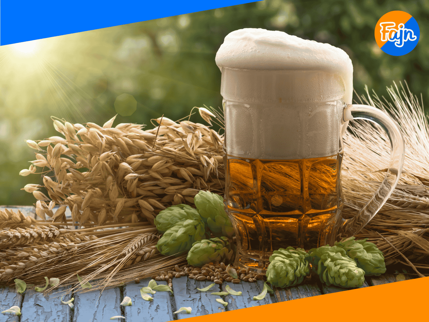 chmelova-brigada-na-leto