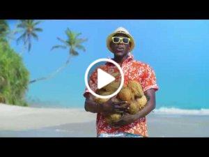 margot-duo-kokos-vi-