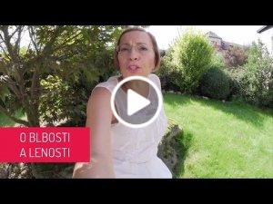 lenost-matka-blbosti